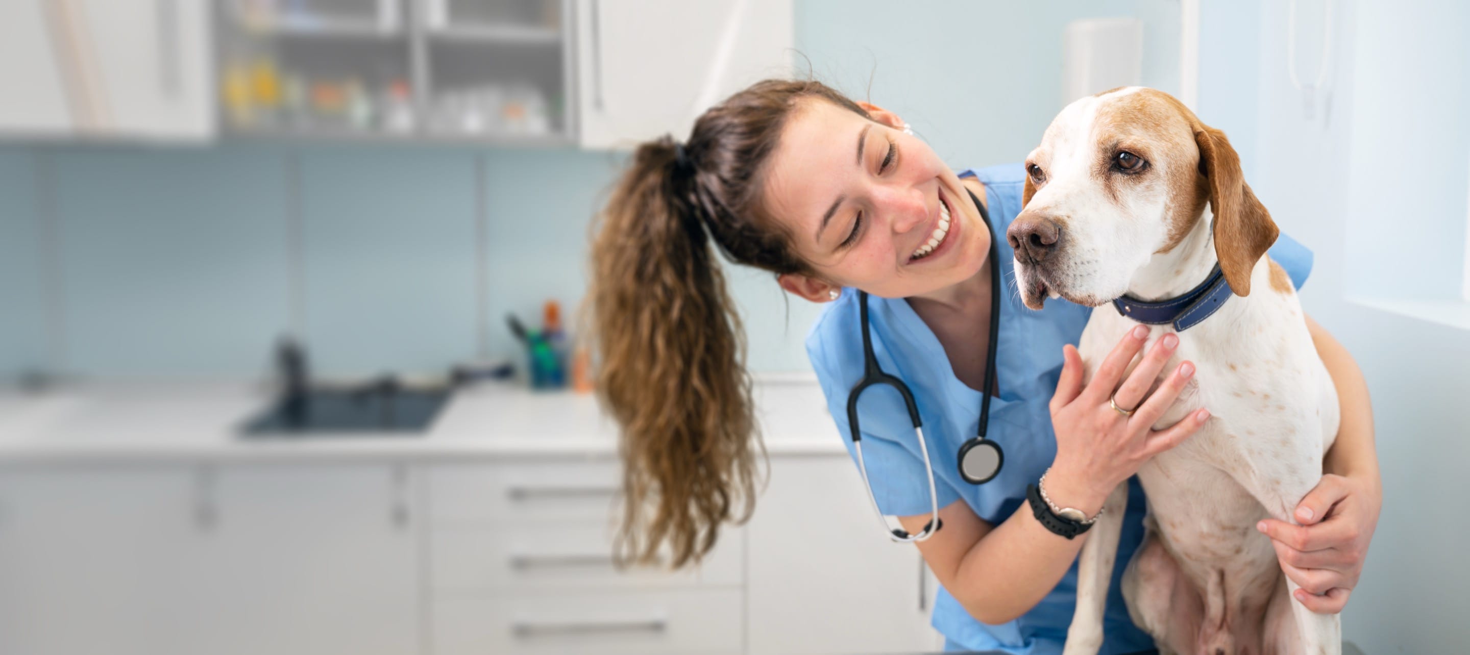Animal Health Certificates